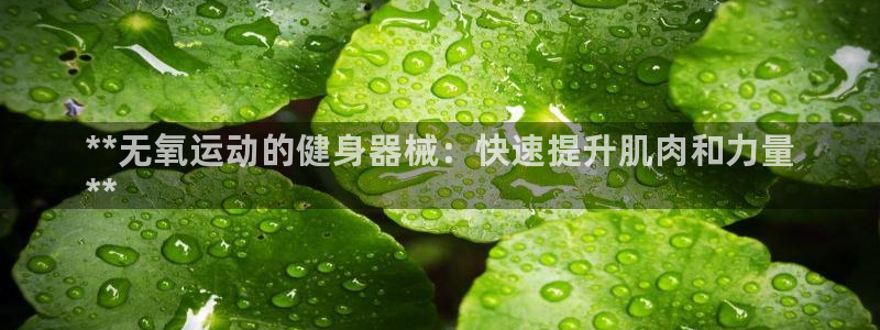 尊龙ag旗舰厅下载:**无氧运动的健身器械:快速提升肌肉和力