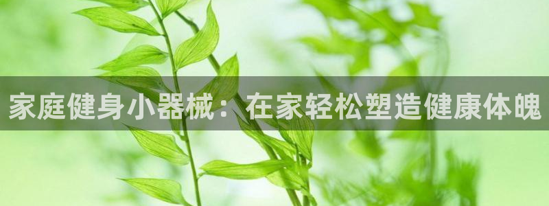 尊龙凯时平台还是万博好:家庭健身小器械:在家轻松塑造健康体魄